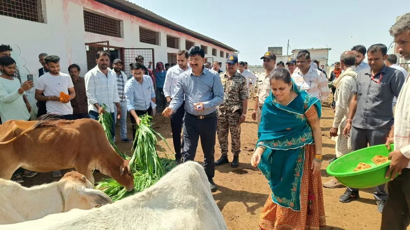 गौशाला की आय बढ़ाने और ग्रामीण सुविधाओं को सुदृढ़ करने पर कलेक्टर का जोर